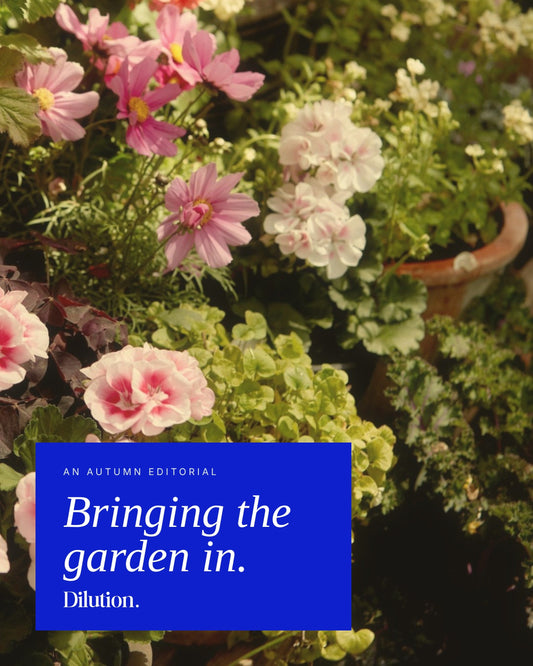 Bringing the Garden In